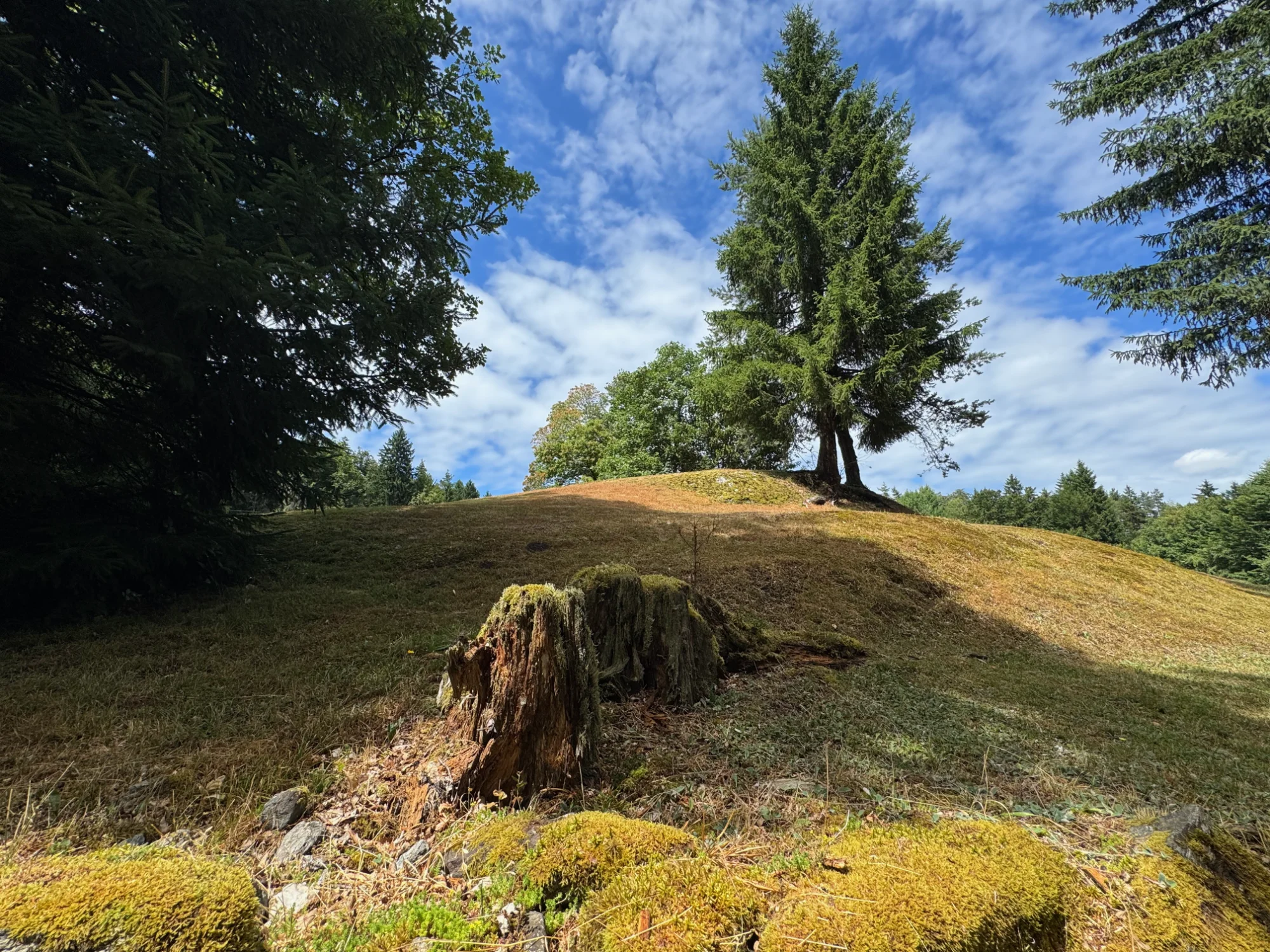Was ist Qi Gong?